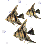Peixes