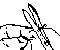 Desenho