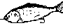Desenho