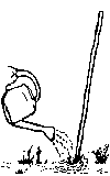 Desenho