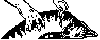 Desenho