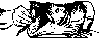Desenho