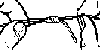 Desenho