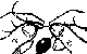 Desenho