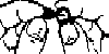 Desenho